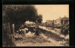 CPA Damvix, Le Sevre Niortaise, Le Marais Portevin  - Autres & Non Classés