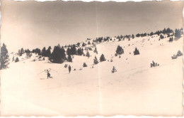 FR66 FONT ROMEU - Carte Photo GOUDIN - Skieurs De Fonds - Animée - Belle - Sonstige & Ohne Zuordnung