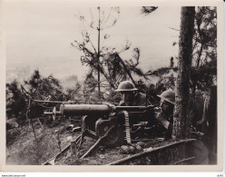 PHOTOGRAPHIE GUERRE 1914/1918 TROUPE ANGLAISE BATAILLE DE CHAMPAGNE - Guerre, Militaire
