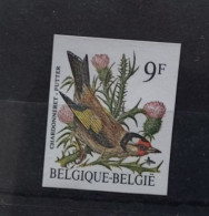 Timbre Non Dentelé Oiseaux De Buzin Chardonneret. - 1985-.. Vogels (Buzin)