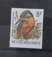 Timbre Non Dentelé Oiseaux De Buzin Martin-pecheur. - 1985-.. Vogels (Buzin)