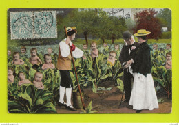 Carte Fantaisie De BEBES Dans Les Choux Du Jardin En 1905 Série 346 - Neonati