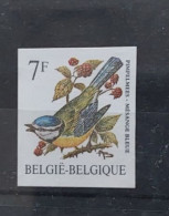 Timbre Non Dentelé Oiseaux De Buzin Mésange Bleue. - 1985-.. Uccelli (Buzin)
