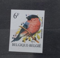 Timbre Non Dentelé Oiseaux De Buzin Bouvreuil. - 1985-.. Oiseaux (Buzin)