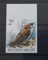 Timbre Non Dentelé Oiseaux De Buzin Moineau Friquet. Bord De Feuille Superieur. - 1985-.. Vögel (Buzin)