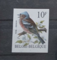 Timbre Non Dentelé Oiseaux De Buzin Pinson - 1985-.. Vogels (Buzin)