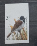 Timbre Non Dentelé Oiseaux De Buzin Bruant Des Roseaux - 1985-.. Uccelli (Buzin)