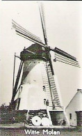 LUIJKSGESTEL Groeten Uit 5-luik 1956 Met De Witte Molen / Mill / Moulin / Mühle - Other & Unclassified