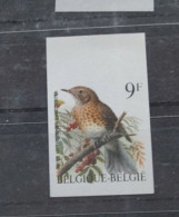 Timbre Non Dentelé Oiseaux De Buzin Grive Musicienne - 1985-.. Uccelli (Buzin)