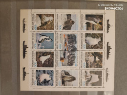 1980	Argentina	Birds Pinguins 24 - Unused Stamps