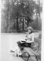 Photographie Vintage Photo Snapshot Lecture Lire Banc Bench Femme Mode Chien - Personnes Anonymes