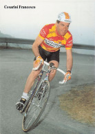 Vélo - Cyclisme - Coureur Cycliste Cesarini Francesco - Team Ceramiche Ariostea - 1989 - Wielrennen