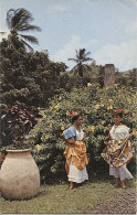 X116659 MARTINIQUE FEMMES EN COSTUME CREOLE - Sonstige & Ohne Zuordnung