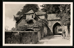 AK Marburg A. Lahn, Aufgang Zum Schloss  - Marburg