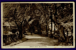 Ref 1654 - Raphael Tuck Postcard - Beech Walk Bucklyvie (Buchlyvie) Stirlingshire Scotland - Stirlingshire