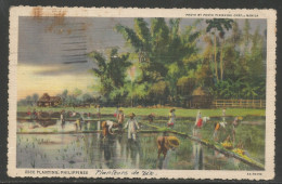 Carte P De 1937 ( Manille / Planteurs De Riz ) - Philippines