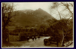 Ref 1654 - 1931 Real Photo Postcard - Cows At Glen Sannox - Isle Of Arran Ayrshire - Argyllshire