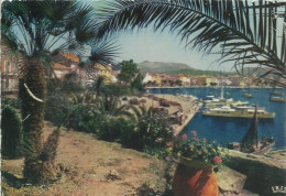 Sanary-sur-Mer - Une échappée Sur Le Port - (P) - Sanary-sur-Mer