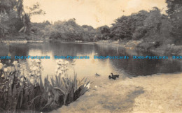 R156136 Old Postcard. Lake - Mundo