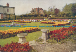 R156576 Garden Studies. Formal Bedding Scheme With Wallflowers Tulips Aubrietia - World