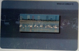 UAE Dhs. 30 NChip Card - Flamingos ( C/N 9901 ) - Emirati Arabi Uniti