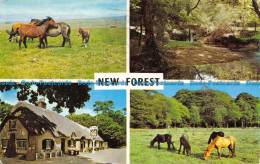 R156610 New Forest. Multi View. 1969 - World