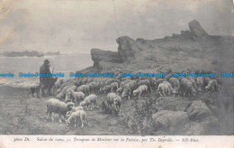 R156204 Salon De 1909. Troupeau De Moutons Sur La Falaise Par Th. Deyrolle. ND - Mundo