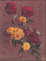 Two Hardy Chrysanthemums - Chrysanthemen Chrysanths Mums / Flowers Blumen Flower Blume / Botanical Botanik Bot - Estampas & Grabados