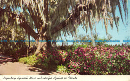R156644 Legendary Spanish Moss And Colorful Azaleas In Florida - Mundo