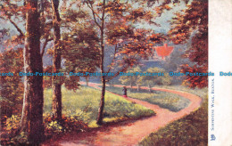 R156252 Serpentine Walk. Buxton. Tuck. Oilette. 1907 - Monde