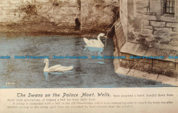 R156265 The Swans On The Palace Moat. Wells. Frith - Monde