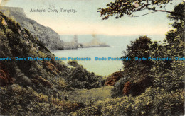 R156266 Ansteys Cove. Torquay. Ettlinger. Royal. 1910 - Monde