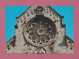 Ruvo Di Puglia. Il Rosone Della Cattedrale- Standard Size,divided Back, New, Ed. Multigraf Terni N°29- - Sonstige & Ohne Zuordnung