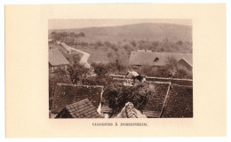 1938 - Héliogravure - Dossenheim (Bas-Rhin) - Les Cigognes - Non Classés