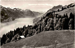 Planalp Ob Brienz - Blick Auf Den Brienzersee (733) * 28. 7. 1959 - Brienz