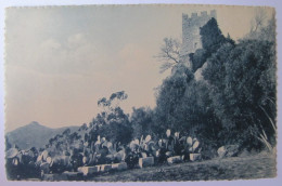 FRANCE - VAR - HYERES - Beffroi Du Vieux Château Féodal - Hyeres