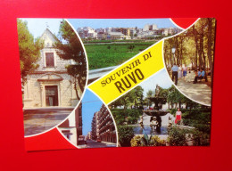 Souvenir Di Ruvo- Standard Size, Divided Back, New, Ed. Patruno, Corato N°40. - Other & Unclassified