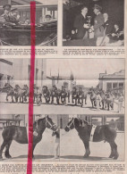 Bruxelles - Heysel - Concours Des Chevaux - Orig. Knipsel Coupure Tijdschrift Magazine - 1937 - Non Classés