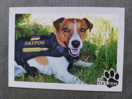 Patron, Jack Russell Terrier - DOG -  Chien - Modern Ukrainian  Postcard - Russia Vc Ukraine War 2022 - Chiens
