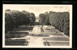 AK Schwetzingen, Schlossgarten Angelegt V. Kurfürst Karl Theodor  - Schwetzingen