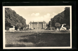 AK Schwetzingen, Partie Im Schlossgarten  - Schwetzingen