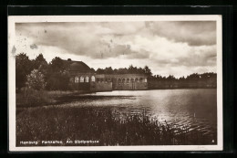 AK Hamburg-Winterhude, Parkkaffee, Am Ufer Des Stadtparksee  - Winterhude