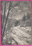 D74 - CHATEL - FÉERIE NEIGEUSE - L'HIVER DANS LES ALPES - CPM Dentelée Grand Format En Noir Et Blanc - Châtel