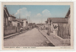 170 DEPT 69 : édit. Cim : Pierre Bénite Avenue Des Cerisiers - Pierre Benite