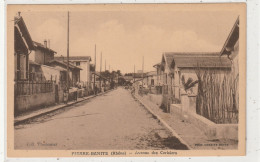 171 DEPT 69 : édit. Thimonier : Pierre Bénite Avenue Des Cerisiers - Pierre Benite
