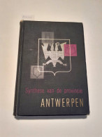 Synthese Van De Provincie Antwerpen - Altri & Non Classificati