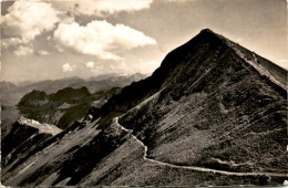 Brienzer Rothorn Mit Dem Höhenweg Nach Dem Brünig (14772) * 26. 6. 1955 - Brienz