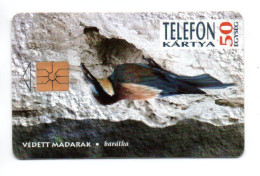 Oiseau Vogel   Animal Télécarte Hongrie Phonecard  (W 711) - Hongarije