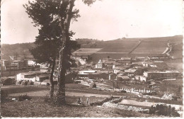 SAINT-ANDRE-LA-COTE (69) Vue Générale En 1954  CPSM  PF - Saint-André-la-Côte