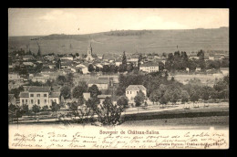 57 - CHATEAU-SALINS - VUE GENERALE - Chateau Salins